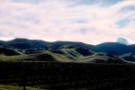 hills, Salinas Valley, NPNV02P11_17.1265