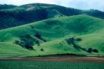 Hills, Trees, velvet, Salinas Valley, NPNV02P12_07.1265