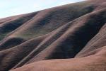 Ridges, hills, Diablo Range, patterns, shapes, NPNV02P14_17.1266