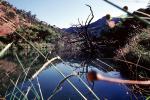Putah Creek, Solano Lake, Hills, reflection, water, Solano County, NPNV02P15_06