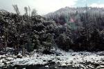 River, stream, snow, trees, NPNV03P02_14