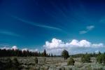 cumulus clouds, trees, field, NPNV03P04_15.1266
