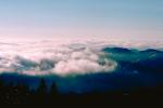 Mount Tamalpais fog