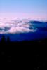 Mount Tamalpais fog, NPNV04P12_03.1268