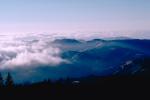 Mount Tamalpais fog