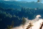 Mountains, valley, forest, foggy, early morning fog, southern Humboldt County, NPNV04P15_05.1268