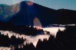 Mountains, forest, foggy, valley, early morning fog, southern Humboldt County, NPNV04P15_08.1268