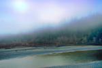 fog, beach, lagoon, southern Humboldt County