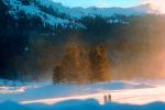 Snow, Ice, Trees, Sunlight, Mist, NPNV05P01_18.1268