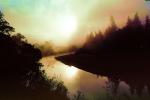 steamy fog, river, trees, NPNV05P05_01