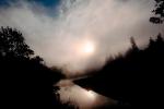 steamy fog, river, trees, NPNV05P05_02.1268