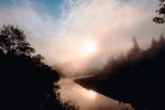 steamy fog, river, trees, sun, NPNV05P05_03.1268