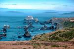 Rugged Coastline, haystack rocks, Pacific Ocean, Hills, coastal, Marin County, California