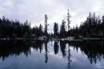 Lake, trees, reflection, water