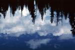 Lake, pond, water, trees, reflection, NPNV06P01_14