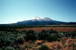Mount Shasta, NPNV06P02_11