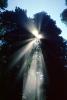 Crepuscular Rays, Fog, Spiritual Light, Sun Streamers, Spirit, sunbeams, NPNV06P03_11