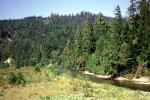 Hills, Mountains, trees, woodland, summer, river, forest, the Lost Coast, Humboldt County, NPNV06P09_11