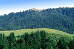 Hills, Mountains, trees, woodland, forest, the Lost Coast, Humboldt County