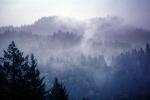 fog, mountains, NPNV06P13_02