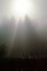 misty morning fog, Bull Frog Pond, NPNV07P01_02