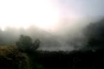 sun through the fog, misty morning fog, NPNV07P02_05