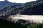 Patchy Fog, Humboldt County