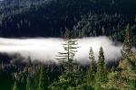 Humboldt County, Patchy Fog, NPNV07P08_14