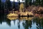 Water, Lake, Pond, shrub, vegetation, wetlands, reflection