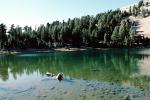 Pebbles, Water, Clear, Pond, rocks, trees, forest, water reflection, placid, bucolic, peaceful, Emerald Lake, NPNV08P02_09