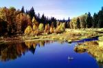 Woodland, Forest, Trees, Hills, Reflecting Lake, autumn, water, Equanimity