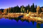 Woodland, Forest, Trees, Hills, Reflecting Lake, autumn, water, NPNV08P04_15