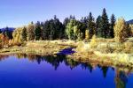Woodland, Forest, Trees, Hills, Reflecting Lake, autumn, water, NPNV08P04_16