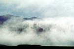 Lake Pillsbury, Fog, mountains, Mendocino National Forest, Mendocino County, water, NPNV08P08_16
