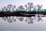 Lake, Bare Trees, Water, Reflection, calm, stillness, NPNV09P06_14.0912