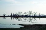 Lake, Bare Trees, Water, Reflection, calm, stillness, NPNV09P06_18
