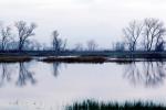 Lake, Bare Trees, Water, Reflection, calm, stillness, NPNV09P07_12