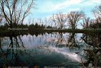 Lake, Bare Trees, Water, Reflection, calm, stillness, NPNV09P07_14.0912