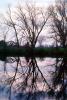 Lake, Bare Trees, Water, Reflection, calm, stillness, NPNV09P07_16