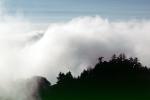Mountains, fog, Mount Tamalpais, NPNV09P08_10