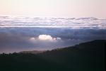 Mount Tamalpais, Fog, Pacific Ocean, NPNV09P11_08