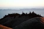 Mount Tamalpais, Fog, Pacific Ocean, NPNV09P11_13