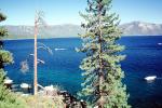 north shore, Lake Tahoe, water, NPNV09P14_01