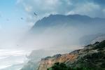 Birds, Pacific Ocean, Beach, Waves, Rocks, Cliffs, Point Bonita, Marin County, NPNV09P14_09