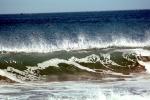 Drakes Bay, wave, NPNV12P06_15