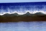 Drakes Bay, wave, NPNV12P06_16