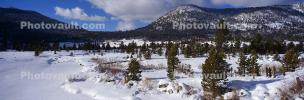 Mountains, Snow, Ice, Cold, Icy, Winter, Woodlands, El Dorado National Forest, Amador County, Panorama, NPNV12P12_08