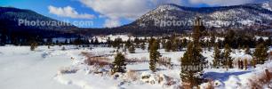 Mountains, Snow, Ice, Cold, Icy, Winter, Woodlands, El Dorado National Forest, Amador County, Panorama, NPNV12P12_09