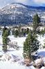 Trees, Mountains, Snow, Ice, Cold, Icy, Winter, Woodlands, El Dorado National Forest, Amador County, NPNV12P12_13