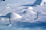 snow, fence, Ice, Cold, Frozen, Icy, Winter, El Dorado National Forest, Amador County, NPNV12P12_18